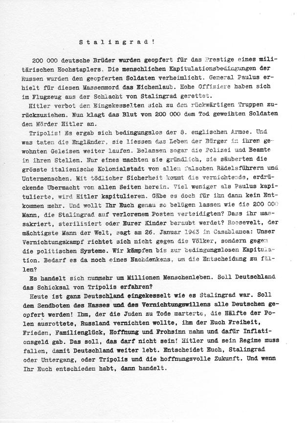 Bild 16 Weisse Rose – Dauerausstellung, weltweit einzigartig (zu verschenken)