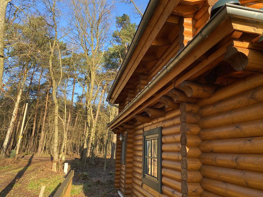 Bild 8 KANADISCHES BLOCKHAUS (FERIENHAUS) AM WALDRAND - LK ROW