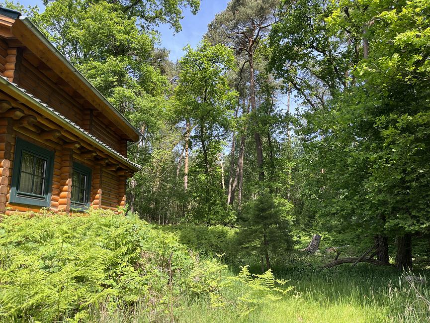 Bild 9 WER ERHOLUNG IN DER NATUR SUCHT, IST HIER GENAU RICHTIG
