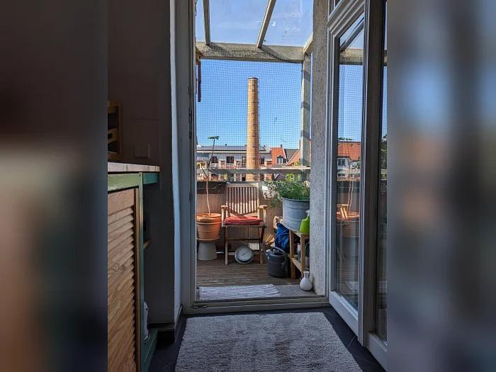 Bild 8 House-& Petsitting in Leipzig gesucht