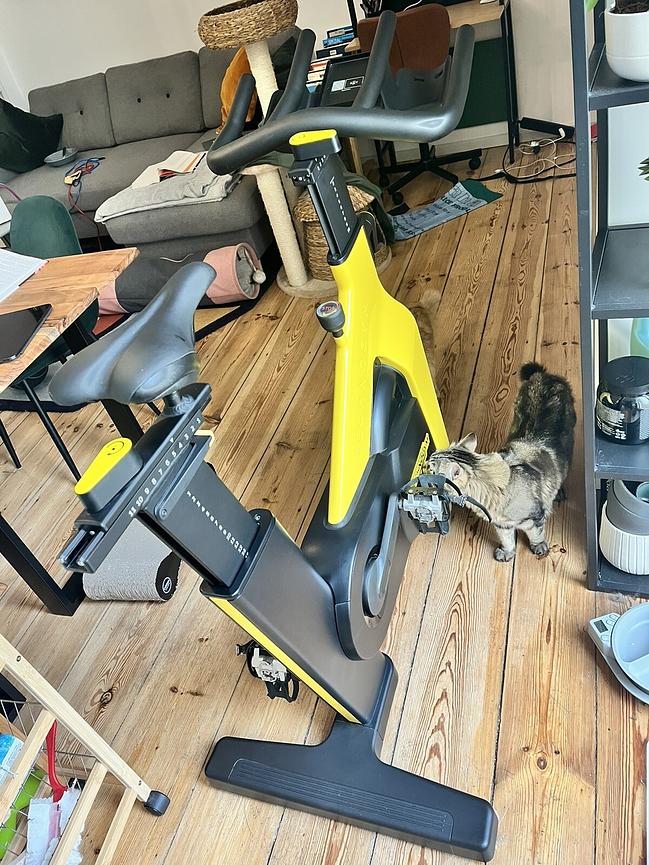 Bild 3 Technogym Bike Heimtrainer
