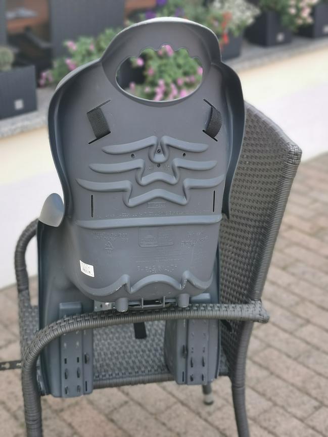 Bild 2 Kindersitz hinten für Fahrrad