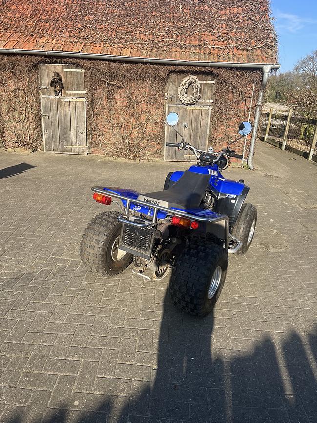Bild 3 Yamaha Warrior 350