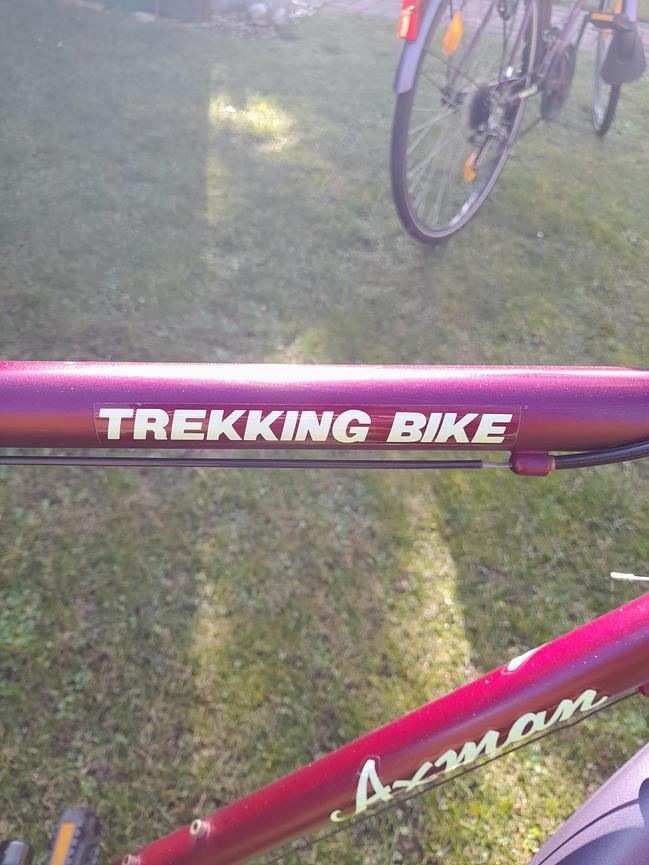 Bild 3 Herrenfahrrad zu verkaufen