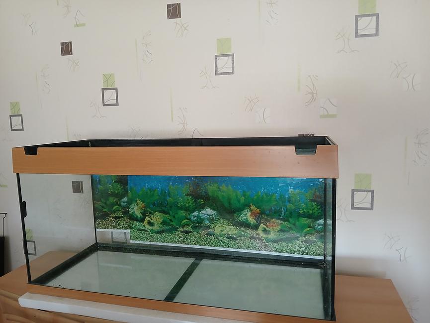 Bild 1 Aquarium zu verkaufen