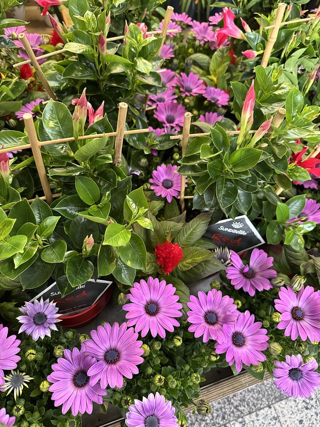 Bild 4 Mitarbeiter (m/w/d) im Blumengeschäft