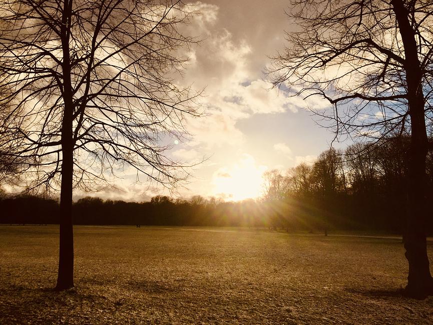 Bild 1 Gut sortiert ins neue Jahr: Philosophischer Jahresausklang