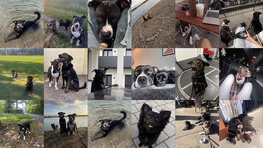 Bild 1 Dringend Wohnung gesucht da Wohnungslosigkeit droht