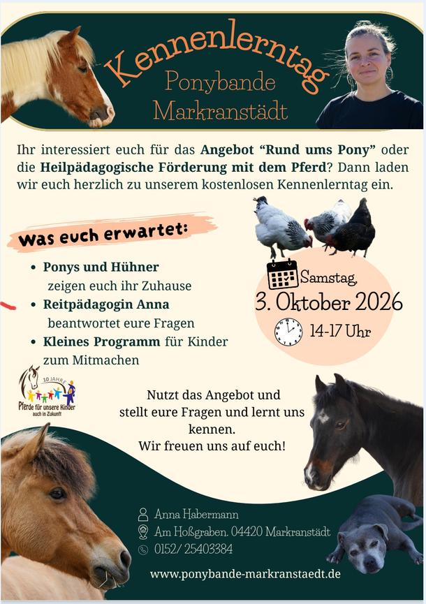 Bild 1 Kennenlerntag am 3.10.2026 bei der Ponybande Markranstädt
