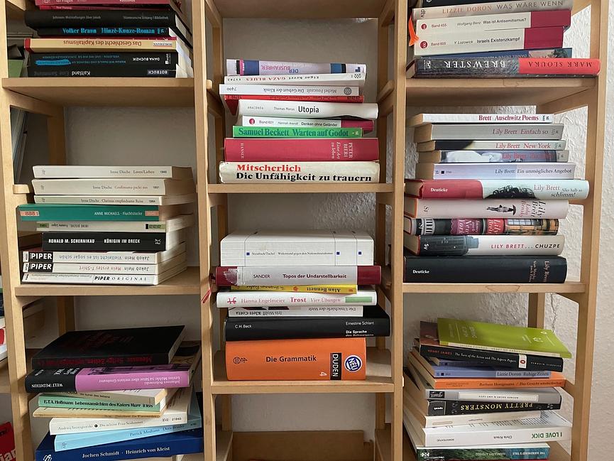 Bild 1 Bibliotheksauflösung | LiWi, KuWi, Kritische und Feministische Theorie,  Romane