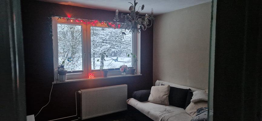 Bild 6 Suche nette/netten Mitbewohner