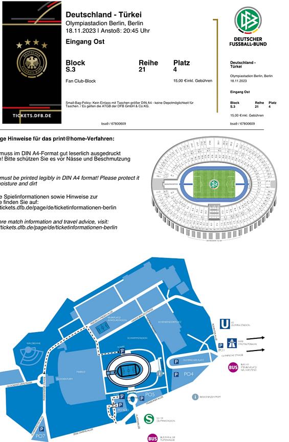 Bild 1 Deutschland - Türkei 18.11 im Olympia Stadion DFB Fan Block