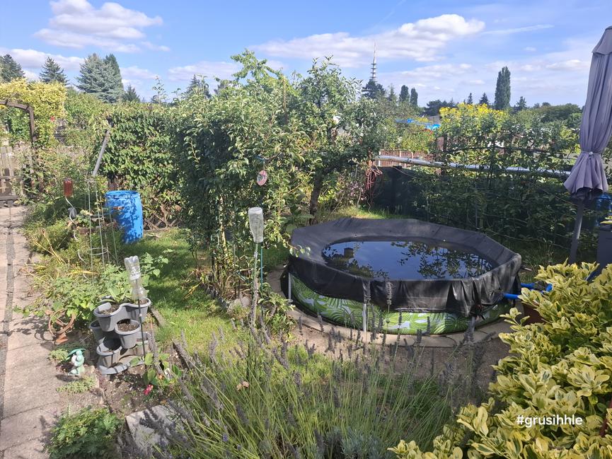 Bild 5 Kleingarten im KgV
