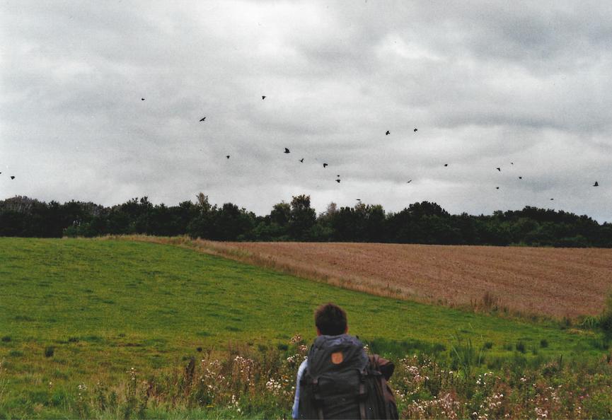 Bild 3 Suche 1,5-2-Zimmer-Wohnung in Berlin