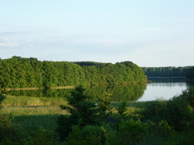 Bild 19 Urlaub Ferienhaus Bungalow Ferienwohnung in Carwitz am See Feldberger Seenplatte