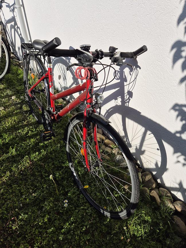 Bild 5 Maxcycles Traffix Damen-Trekkingrad