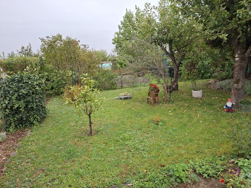 Bild 4 Wunderschöner Kleingarten im Vereinsverband zu verkaufen