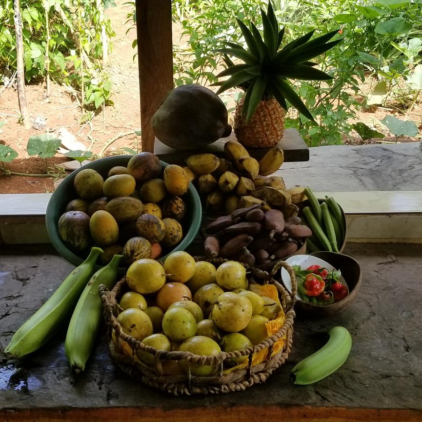 Bild 1 Haus mit Bananengarten in DomRep zu verkaufen