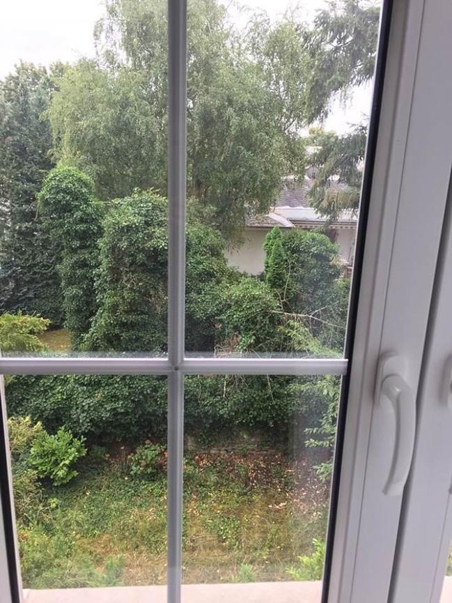 Bild 3 WG-Wohnung Zentrum nah