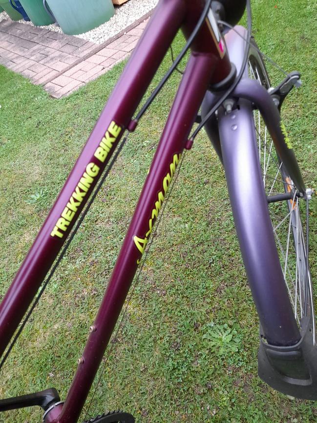 Bild 3 DAMENRAD