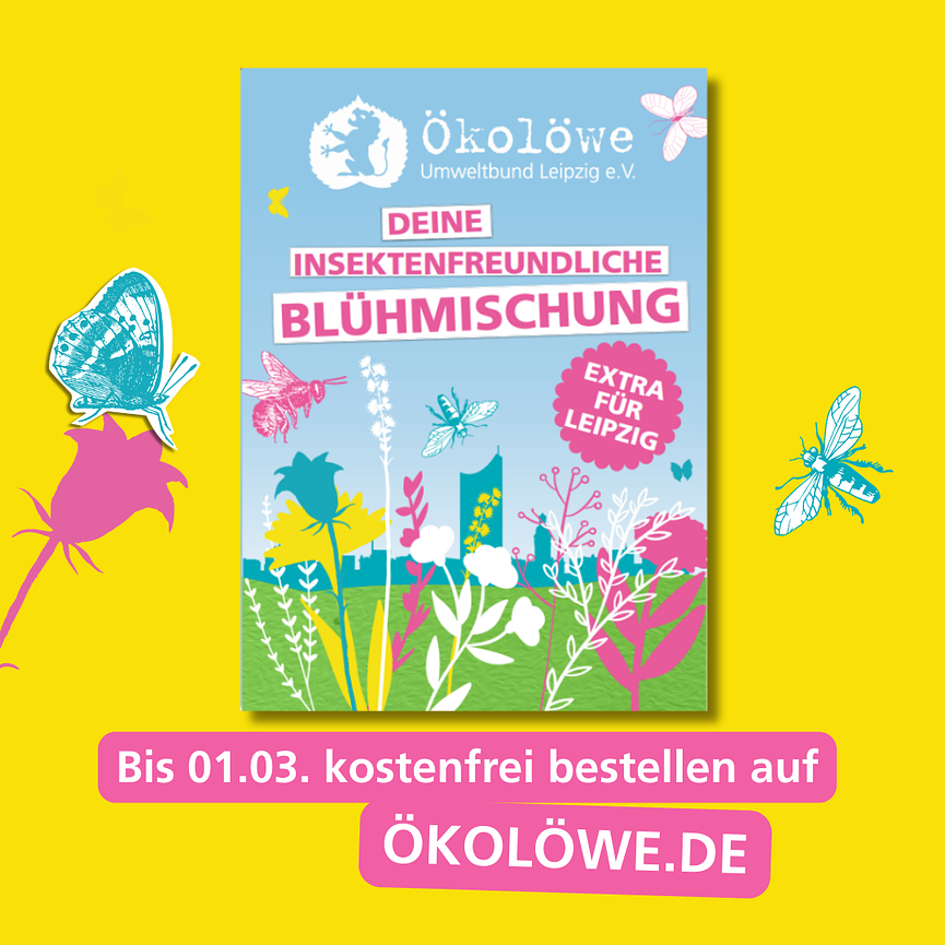 Bild 1 Kostenfreie, insektenfreundliche Blühmischung
