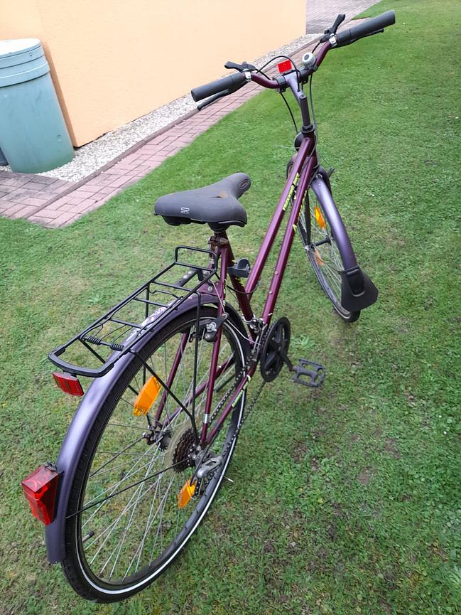 Bild 1 DAMENRAD
