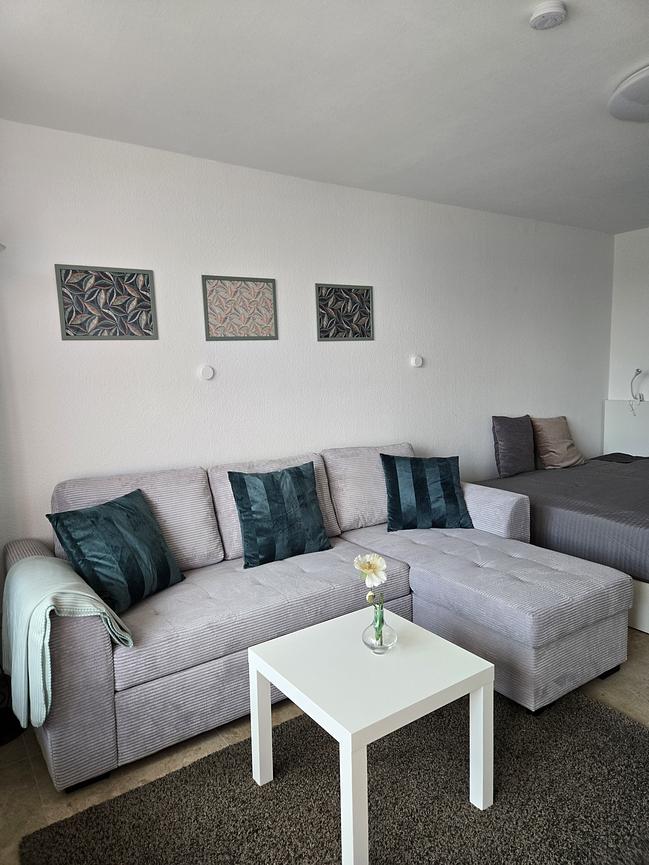 Bild 3 modernes 1-Zimmer Apartment - Erstbezug nach Sanierung - voll möbiliert