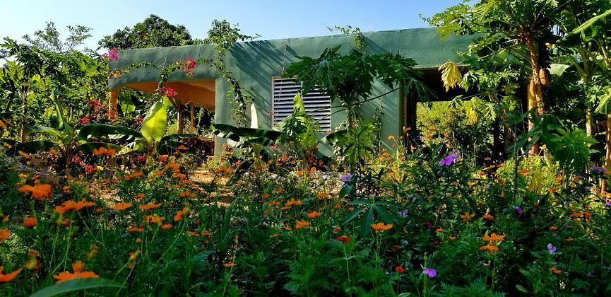 Bild 5 Haus mit Bananengarten in DomRep zu verkaufen