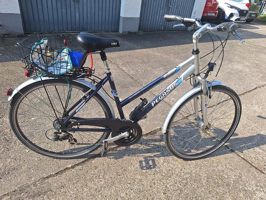 Bild 3 Damen Citybike