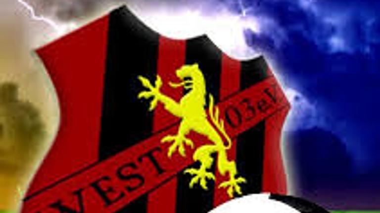 Fußball-Trainer (m/w/d) für D-Jugend in 04177 Leipzig-Lindenau gesucht