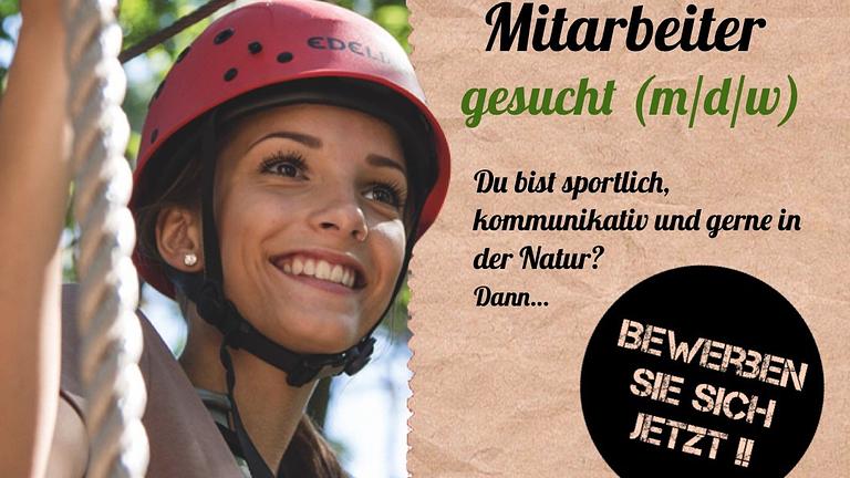 Vorschaubild Sommerjob gesucht? Kletterwald Mitarbeiter (m/w/d)