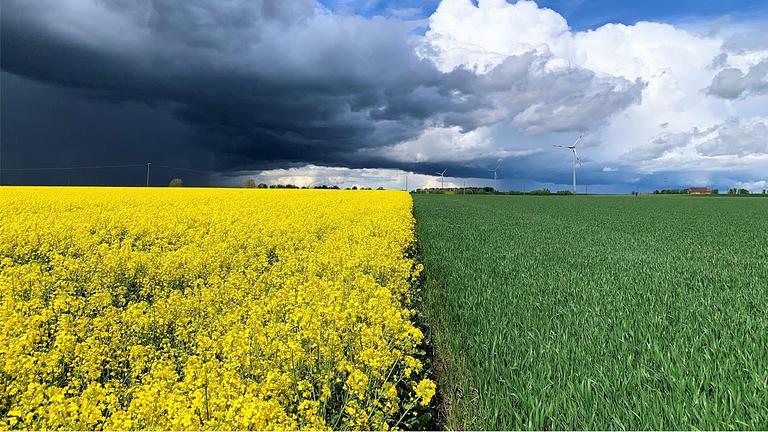 Abschlussarbeit (Bachelor oder Master) Pflanzenbau/Agrarwissenschaften