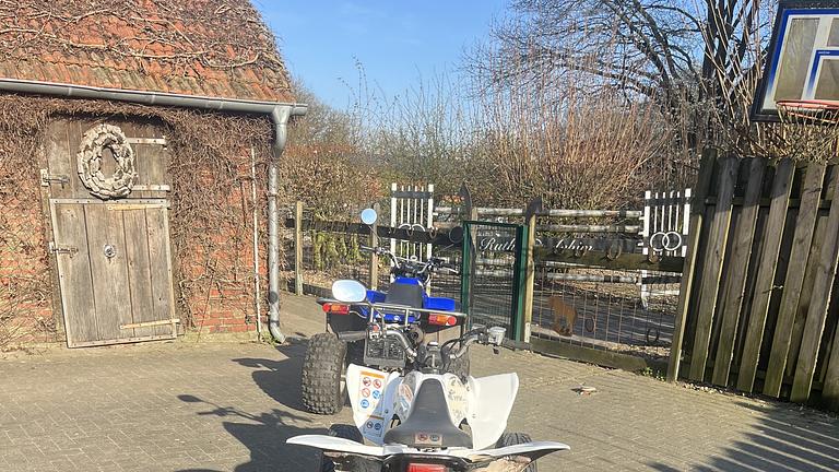 Yamaha Raptor 250