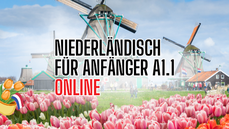 Niederländisch für Anfänger*innen A1.1 - Live aus den Niederlanden