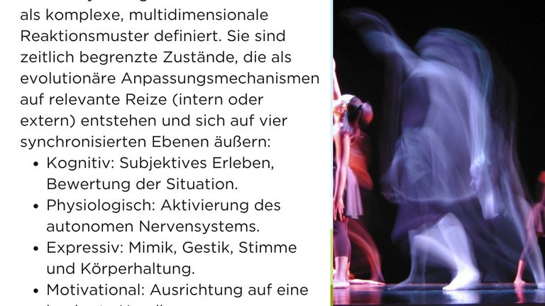 Emotionen verstehen und regulieren - ONLINE-Workshop oder Präsenz-Nachmittag