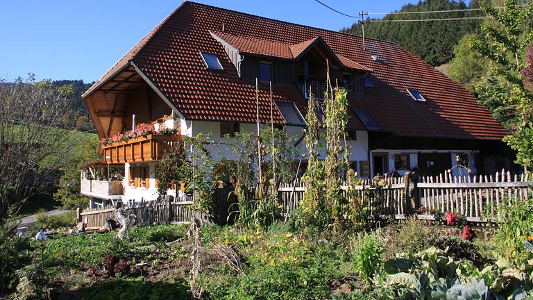 Schwarzwaldurlaub, Kinzigtal mittlerer Schwarzwald