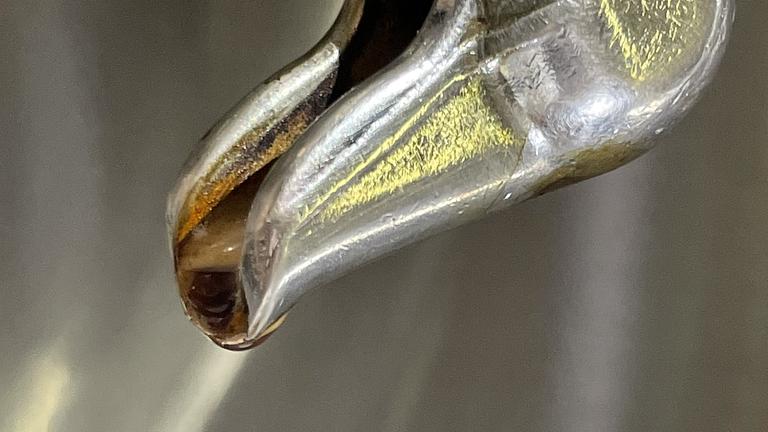 feines Cafe am Hafen Cospudener SEE/ Pier1 sucht Mitarbeiter:inn