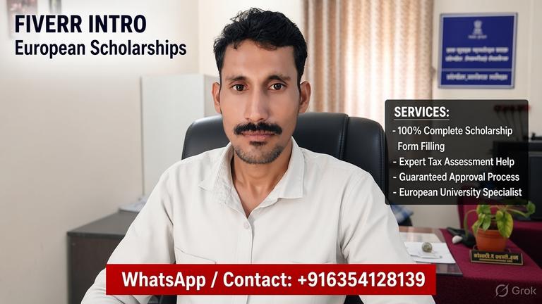 Inquiry regarding Scholarship Application Support
