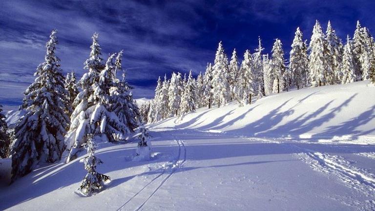 Ferienlager Betreuer in einem Wintercamp