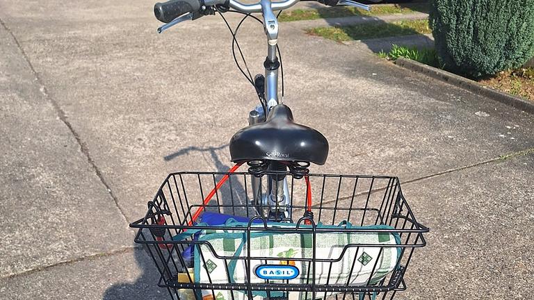 Damen Citybike