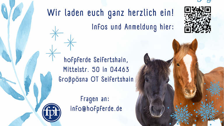 Ferienwoche - Wintertraining für Ponys und junge ReiterInnen