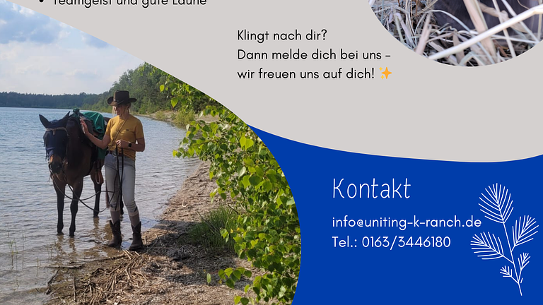 (Studentische) Aushilfe gesucht...
