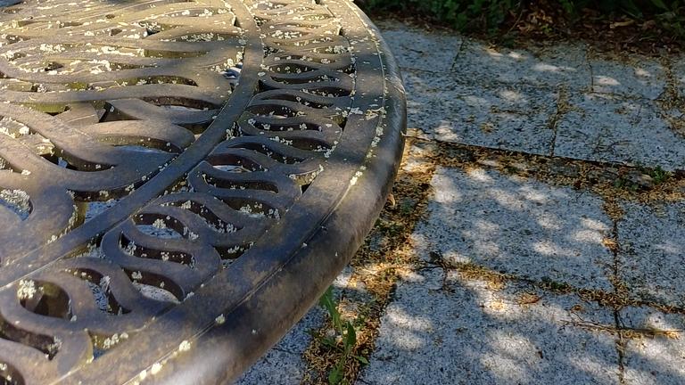 Mietfrei wohnen gegen Hilfe im Haushalt in Uttenreuth