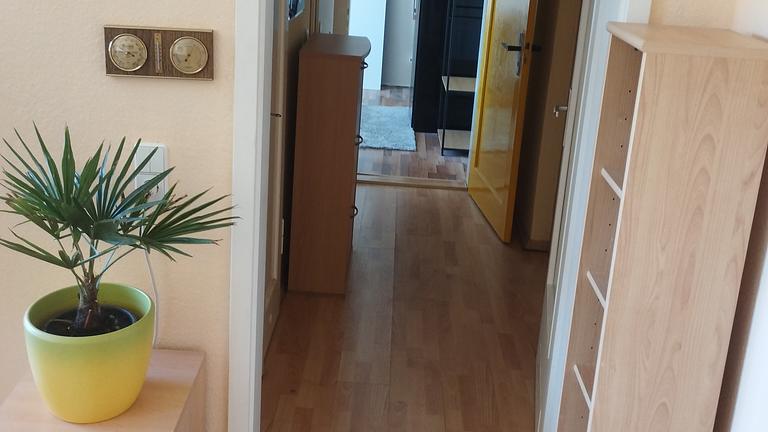 Ferienwohnung in Dresden