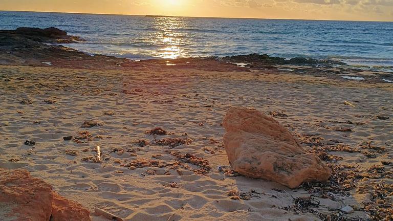 Luste auf Sonne, Strand und Meer?