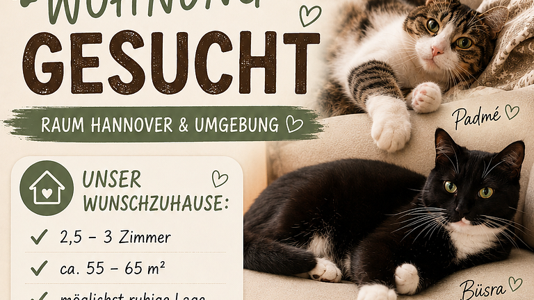 Wohnung gesucht