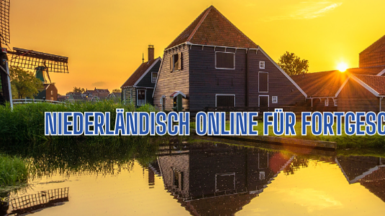 Niederländisch B1.1