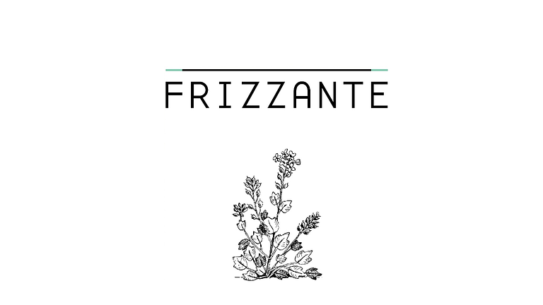 Vorschaubild DJ Frizzante ~ Hochzeit, Fest ~ Balkan, Swing, Latino, Funk, Pop