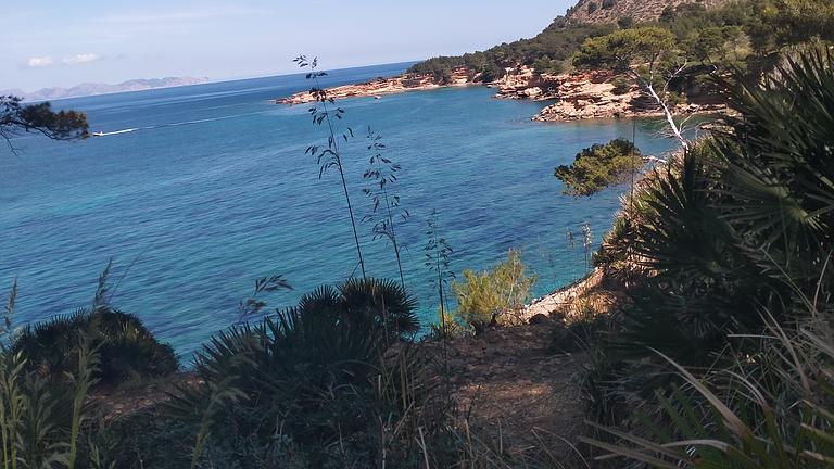 Wandern zur Mandelblüte auf Mallorca für Frauen