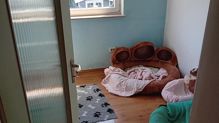 2 Zimmer in 3 er WG mit Garten 560 € Warm